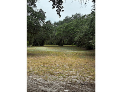 Gated 6.26 acres in Ingleside - Natural pond -Mature live oaks - - photo 18