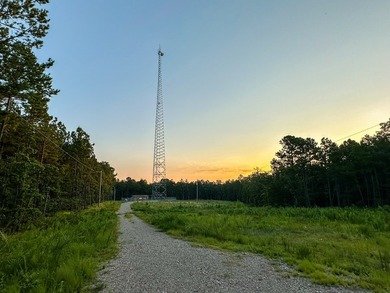A recreational paradise located in the heart of Arkansas. From - photo 18