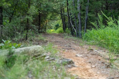 A recreational paradise located in the heart of Arkansas. From - photo 19