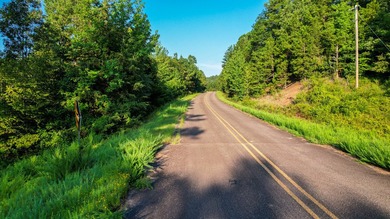 A recreational paradise located in the heart of Arkansas. From - photo 20