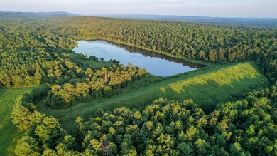 A recreational paradise located in the heart of Arkansas. From - photo 21