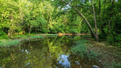 A recreational paradise located in the heart of Arkansas. From - photo 22