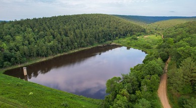 A recreational paradise located in the heart of Arkansas. From - photo 23