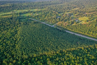 A recreational paradise located in the heart of Arkansas. From - photo 24