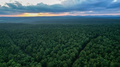 A recreational paradise located in the heart of Arkansas. From - photo 25