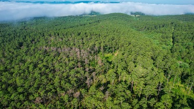 A recreational paradise located in the heart of Arkansas. From - photo 27