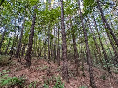 A recreational paradise located in the heart of Arkansas. From - photo 28