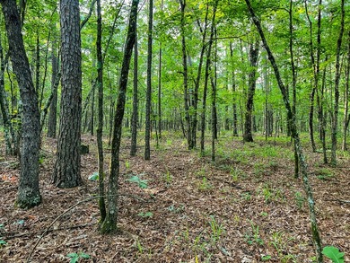 A recreational paradise located in the heart of Arkansas. From - photo 29