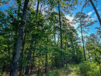 A recreational paradise located in the heart of Arkansas. From - photo 31
