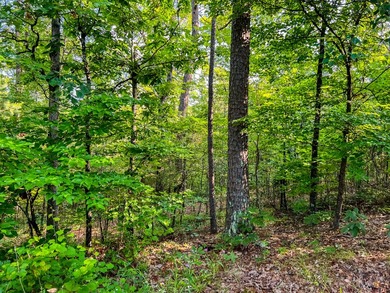 A recreational paradise located in the heart of Arkansas. From - photo 32