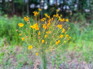 A recreational paradise located in the heart of Arkansas. From - photo 33