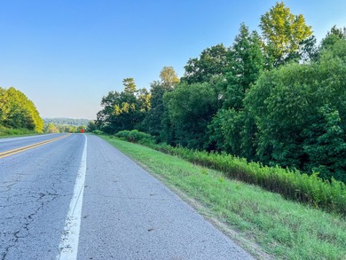 A recreational paradise located in the heart of Arkansas. From - photo 34