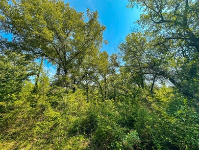 A recreational paradise located in the heart of Arkansas. From - photo 35