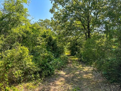 A recreational paradise located in the heart of Arkansas. From - photo 36