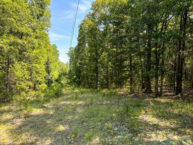 A recreational paradise located in the heart of Arkansas. From - photo 37