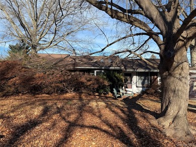 Easy Living in this 3 Bedroom Ranch Home. Gas BBQ grill & patio - photo 4