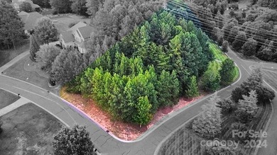 Lake Wylie Lot Active Under Contract in Belmont North Carolina
