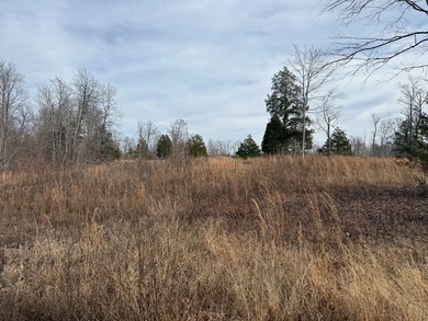 4.52 Acres with a new 30X40 garage is ready for your new home! - photo 5