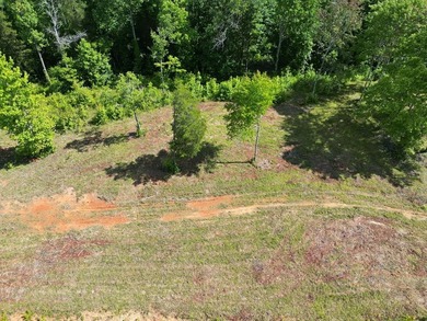 4.52 Acres with a new 30X40 garage is ready for your new home! - photo 6