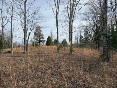 4.52 Acres with a new 30X40 garage is ready for your new home! - photo 7