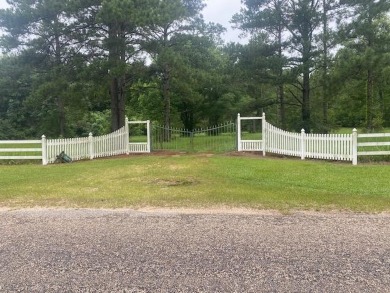 Lake Acreage For Sale in Tylertown, Mississippi