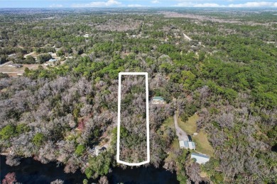 Withlacoochee River Lot For Sale in Inglis Florida