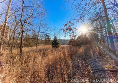 Lake Lot Off Market in Four Seasons, Missouri