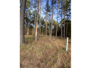SOLD!!! Thank You Lord For Your Blessings!!!  SOLD - Lake Lot SOLD! in Pachuta, Mississippi