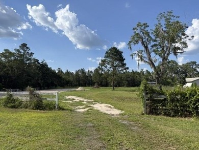 One of the last large tracts available inside the City of Lake - photo 1