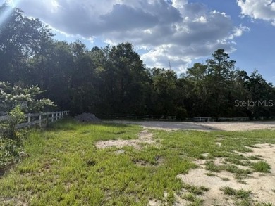 One of the last large tracts available inside the City of Lake - photo 3