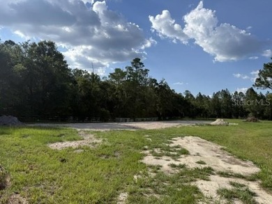 One of the last large tracts available inside the City of Lake - photo 7