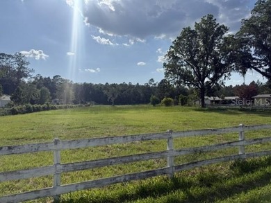 One of the last large tracts available inside the City of Lake - photo 8