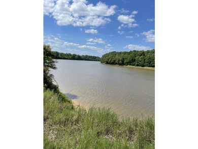 Country living home located on the Ouachita River. Located at - photo 9