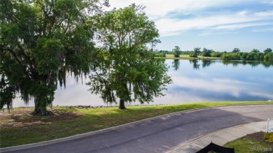 Lake Cameron Lot For Sale in Pike Road Alabama