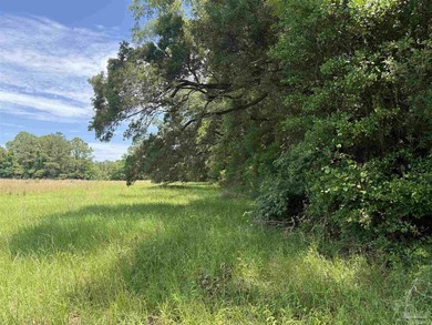 14.51 Acres with Pond, Pole Barn & Beautiful Homesite Potential - photo 11