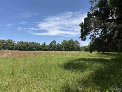 14.51 Acres with Pond, Pole Barn & Beautiful Homesite Potential - photo 12