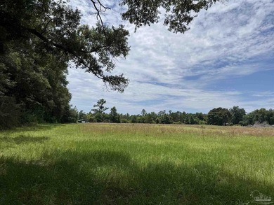 14.51 Acres with Pond, Pole Barn & Beautiful Homesite Potential - photo 13
