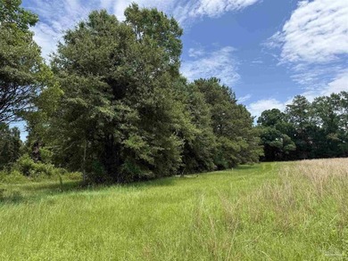 14.51 Acres with Pond, Pole Barn & Beautiful Homesite Potential - photo 14