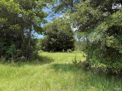 14.51 Acres with Pond, Pole Barn & Beautiful Homesite Potential - photo 15