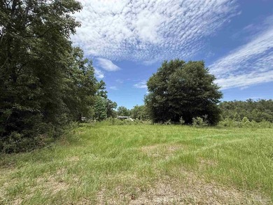 14.51 Acres with Pond, Pole Barn & Beautiful Homesite Potential - photo 16