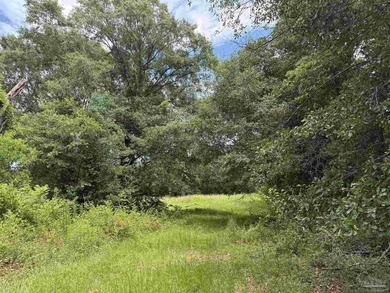 14.51 Acres with Pond, Pole Barn & Beautiful Homesite Potential - photo 17