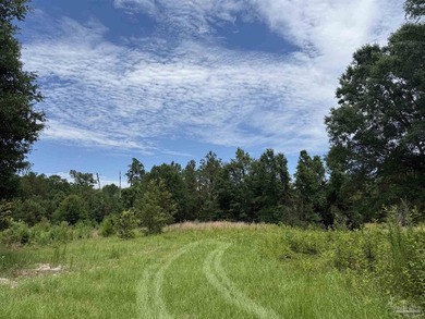 14.51 Acres with Pond, Pole Barn & Beautiful Homesite Potential - photo 18