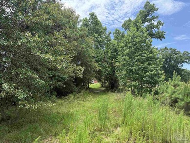 14.51 Acres with Pond, Pole Barn & Beautiful Homesite Potential - photo 19
