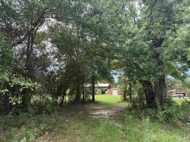14.51 Acres with Pond, Pole Barn & Beautiful Homesite Potential - photo 20