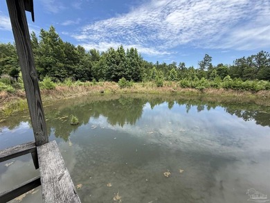 14.51 Acres with Pond, Pole Barn & Beautiful Homesite Potential - photo 25