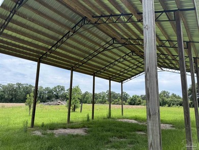 14.51 Acres with Pond, Pole Barn & Beautiful Homesite Potential - photo 28