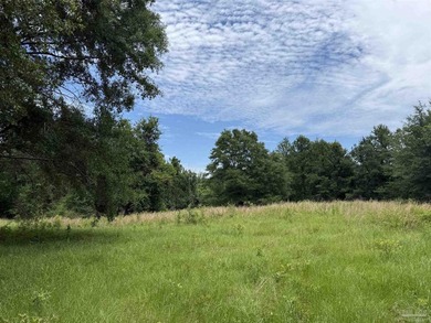 14.51 Acres with Pond, Pole Barn & Beautiful Homesite Potential - photo 29