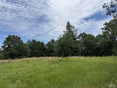 14.51 Acres with Pond, Pole Barn & Beautiful Homesite Potential - photo 30