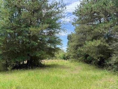 14.51 Acres with Pond, Pole Barn & Beautiful Homesite Potential - photo 31