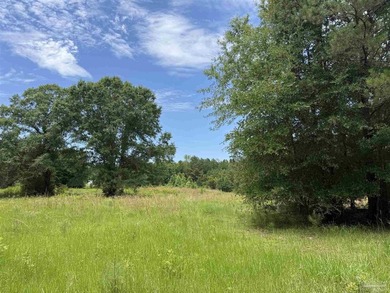 14.51 Acres with Pond, Pole Barn & Beautiful Homesite Potential - photo 32